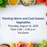Planting Warm and Cool Season Vegetables